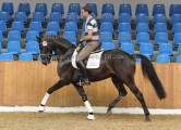 Foto-Archiv