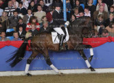 Foto-Archiv