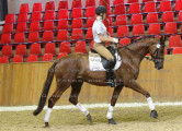 Foto-Archiv