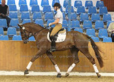 Foto-Archiv