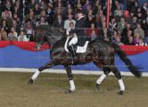 Foto-Archiv