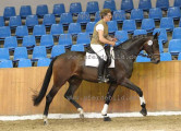 Foto-Archiv