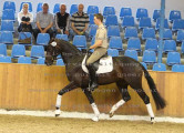 Foto-Archiv