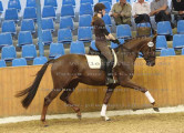 Foto-Archiv