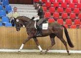 Foto-Archiv
