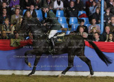 Foto-Archiv