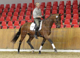 Foto-Archiv