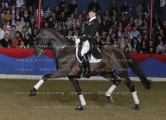 Foto-Archiv