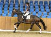 Foto-Archiv