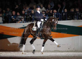 Foto-Archiv