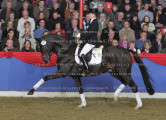 Foto-Archiv