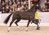 Foto-Archiv
