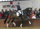 Foto-Archiv