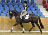 Foto-Archiv