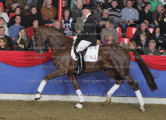 Foto-Archiv
