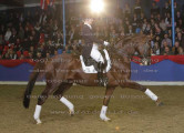 Foto-Archiv