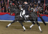 Foto-Archiv