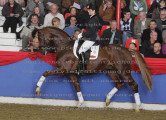 Foto-Archiv