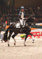 Foto-Archiv