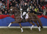 Foto-Archiv