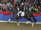 Foto-Archiv