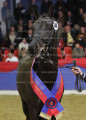 Foto-Archiv