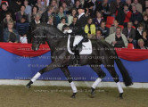 Foto-Archiv