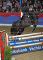 Foto-Archiv