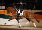 Foto-Archiv