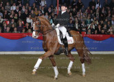 Foto-Archiv