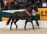 Foto-Archiv
