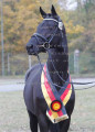 Foto-Archiv