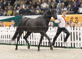Foto-Archiv