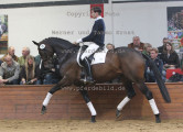 Foto-Archiv
