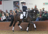 Foto-Archiv