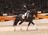 Foto-Archiv