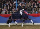 Foto-Archiv