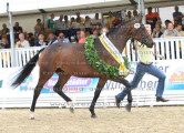 Foto-Archiv