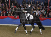 Foto-Archiv