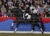 Foto-Archiv