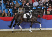Foto-Archiv