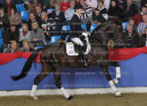 Foto-Archiv