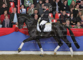 Foto-Archiv