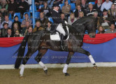 Foto-Archiv