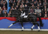 Foto-Archiv