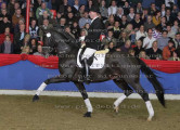 Foto-Archiv
