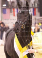 Foto-Archiv