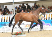 Foto-Archiv