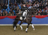 Foto-Archiv