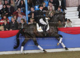 Foto-Archiv